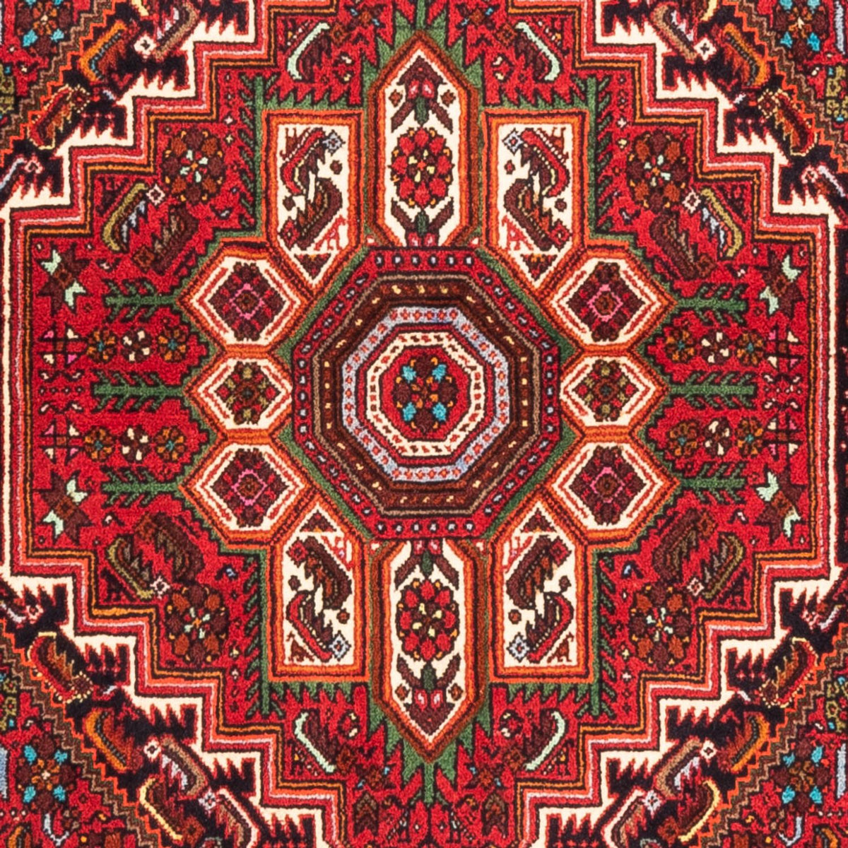 Tapis persan - Nomadic - 157 x 100 cm - rouge