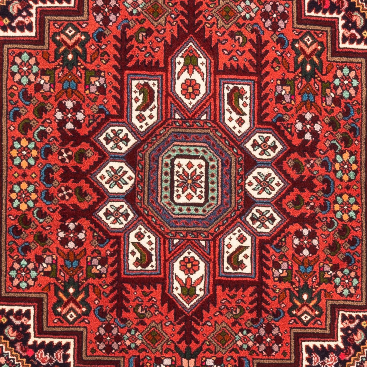 Tapis persan - Nomadic - 150 x 100 cm - rouge