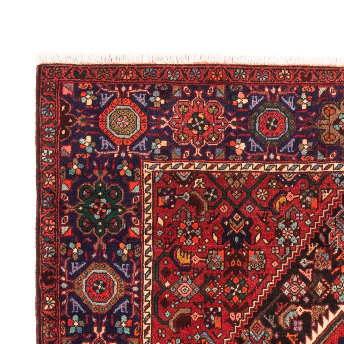 Tapis persan - Nomadic - 152 x 100 cm - rouge