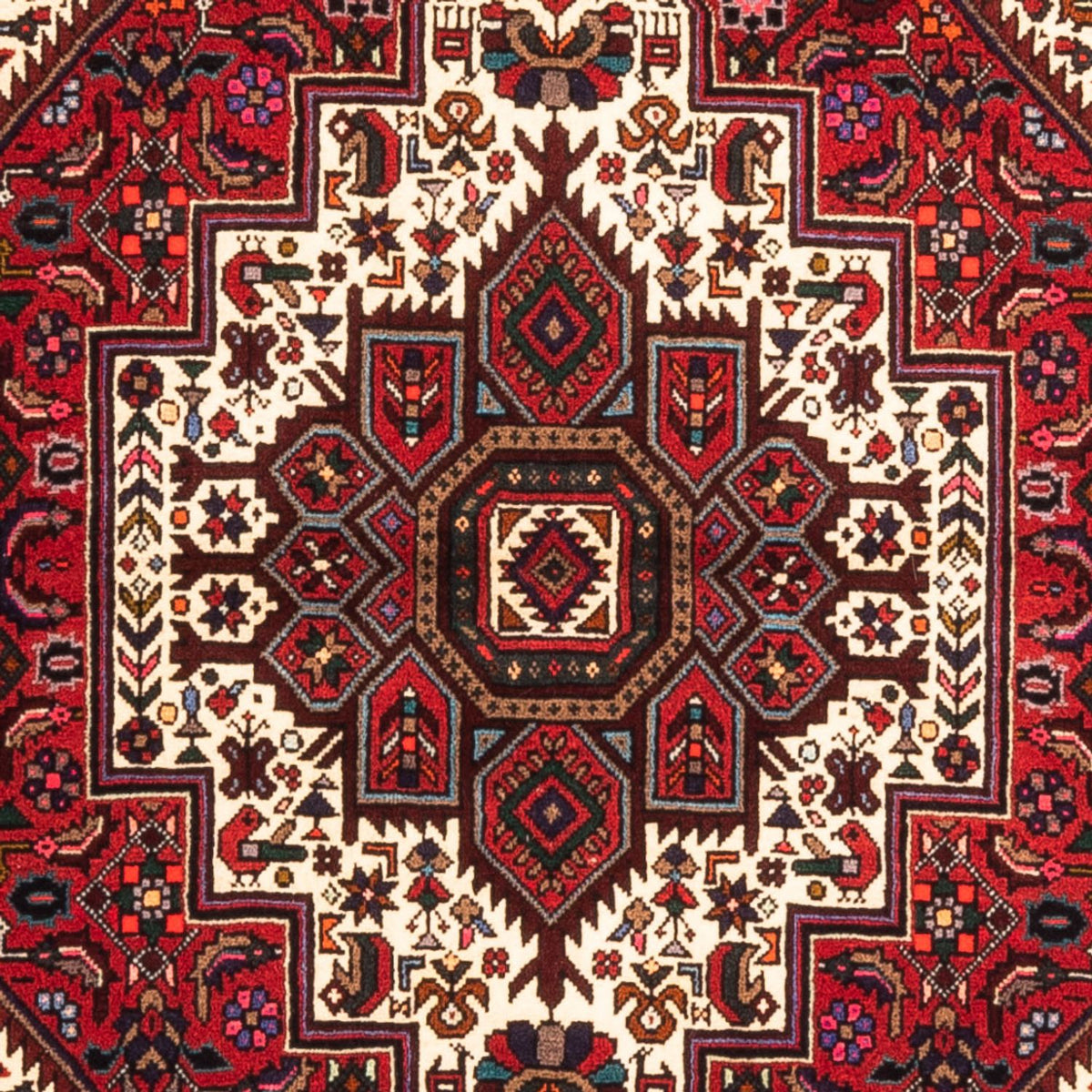 Tapis persan - Nomadic - 152 x 100 cm - rouge