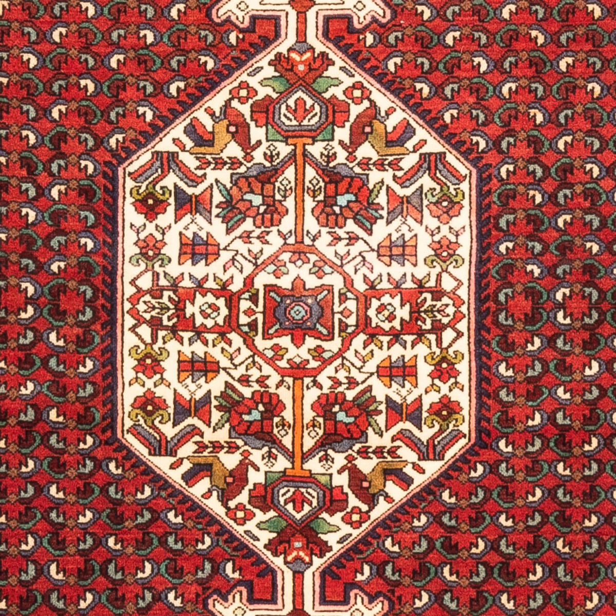 Tapis persan - Nomadic - 170 x 108 cm - rouge