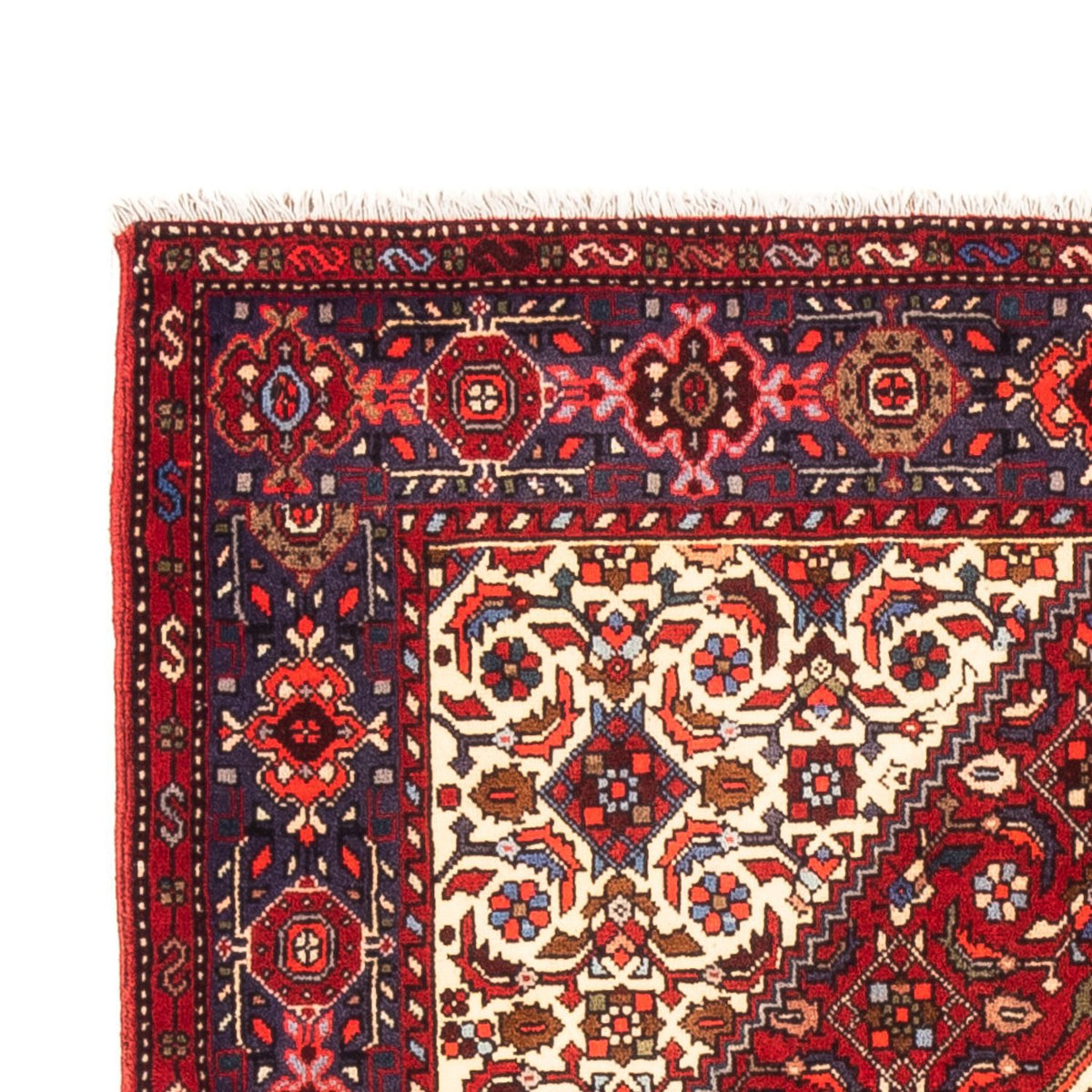 Tapis persan - Nomadic - 155 x 100 cm - rouge