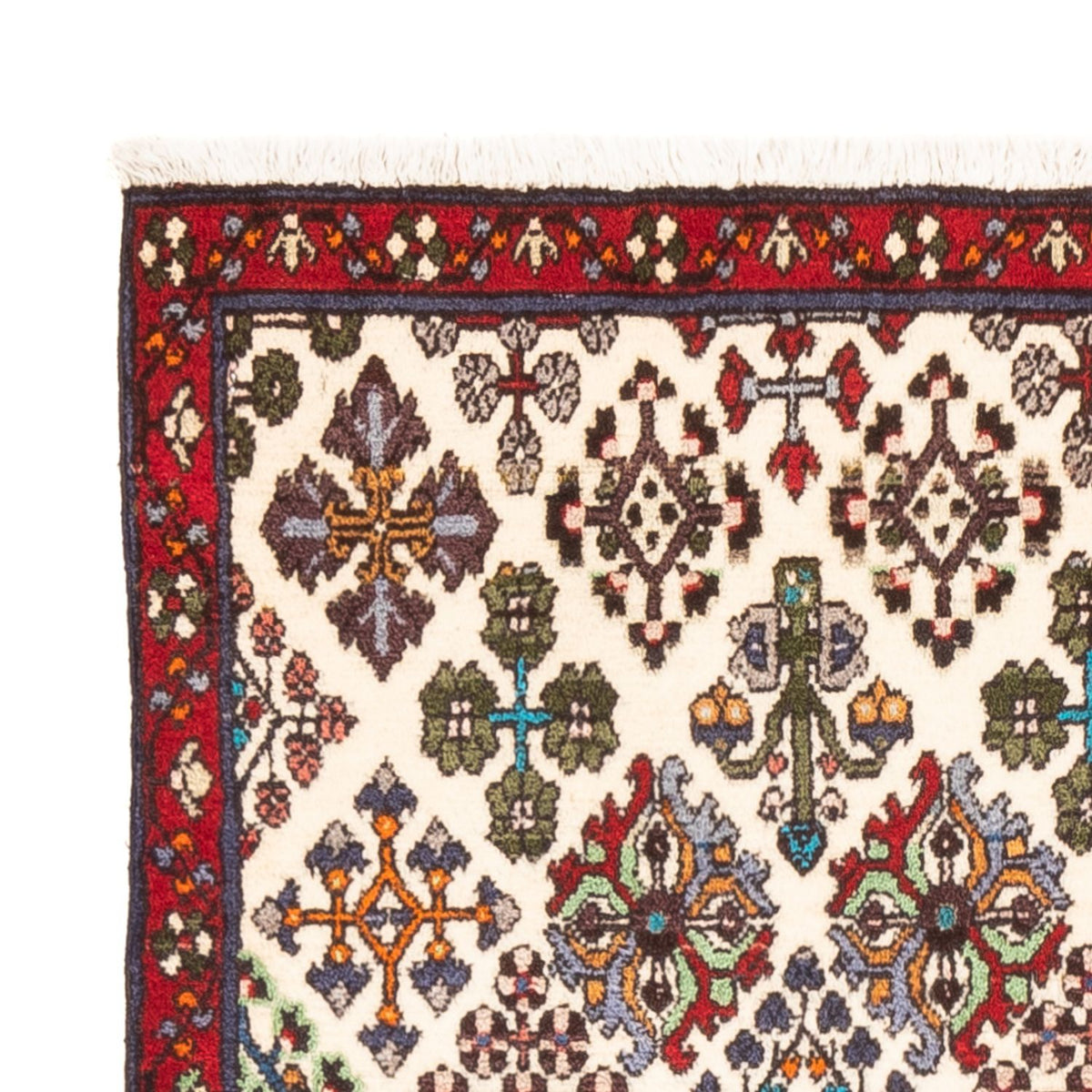 Tapis de couloir Tapis persan - Nomadic - 155 x 68 cm - crème
