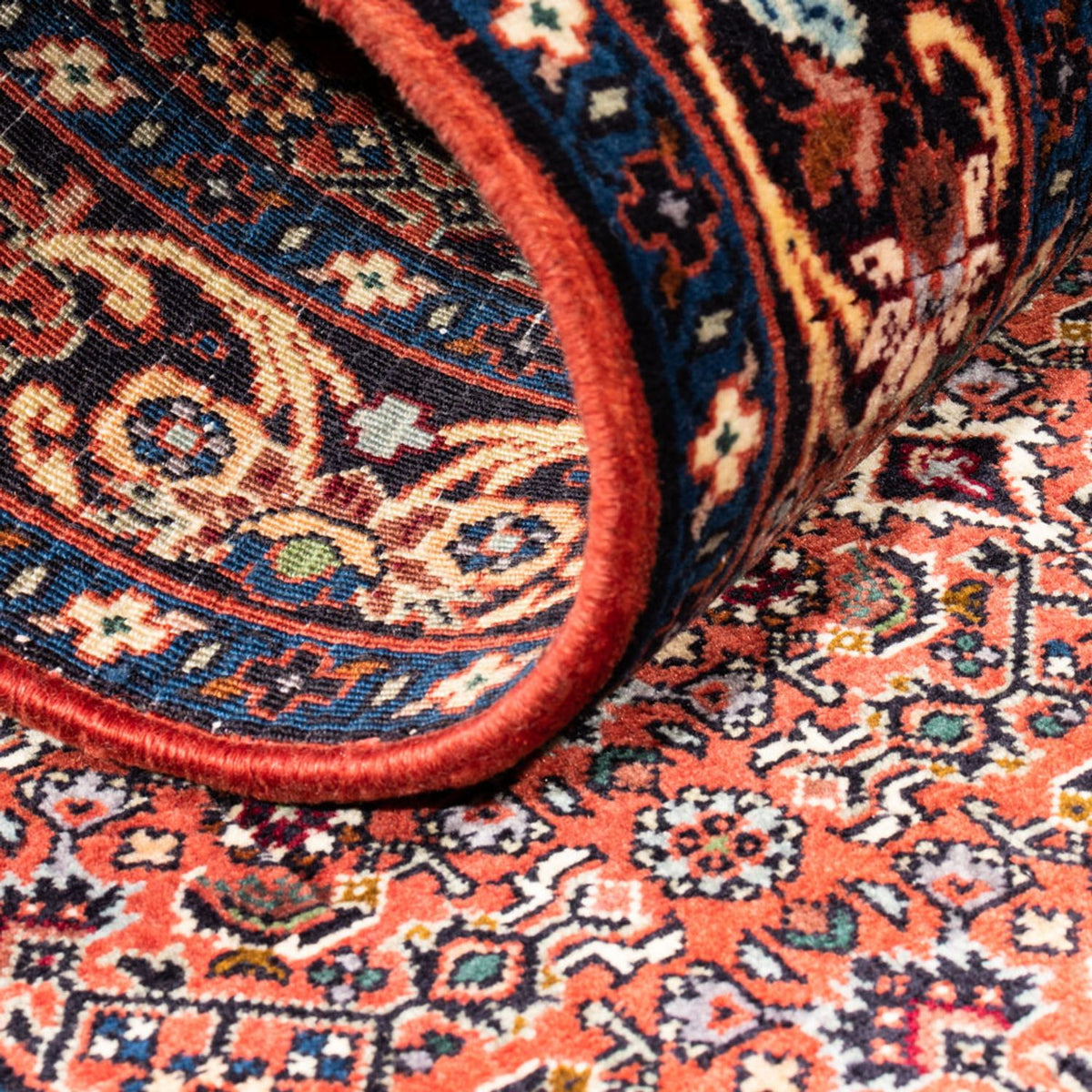 Tapis de couloir Tapis persan - Bidjar - 214 x 62 cm - rouge