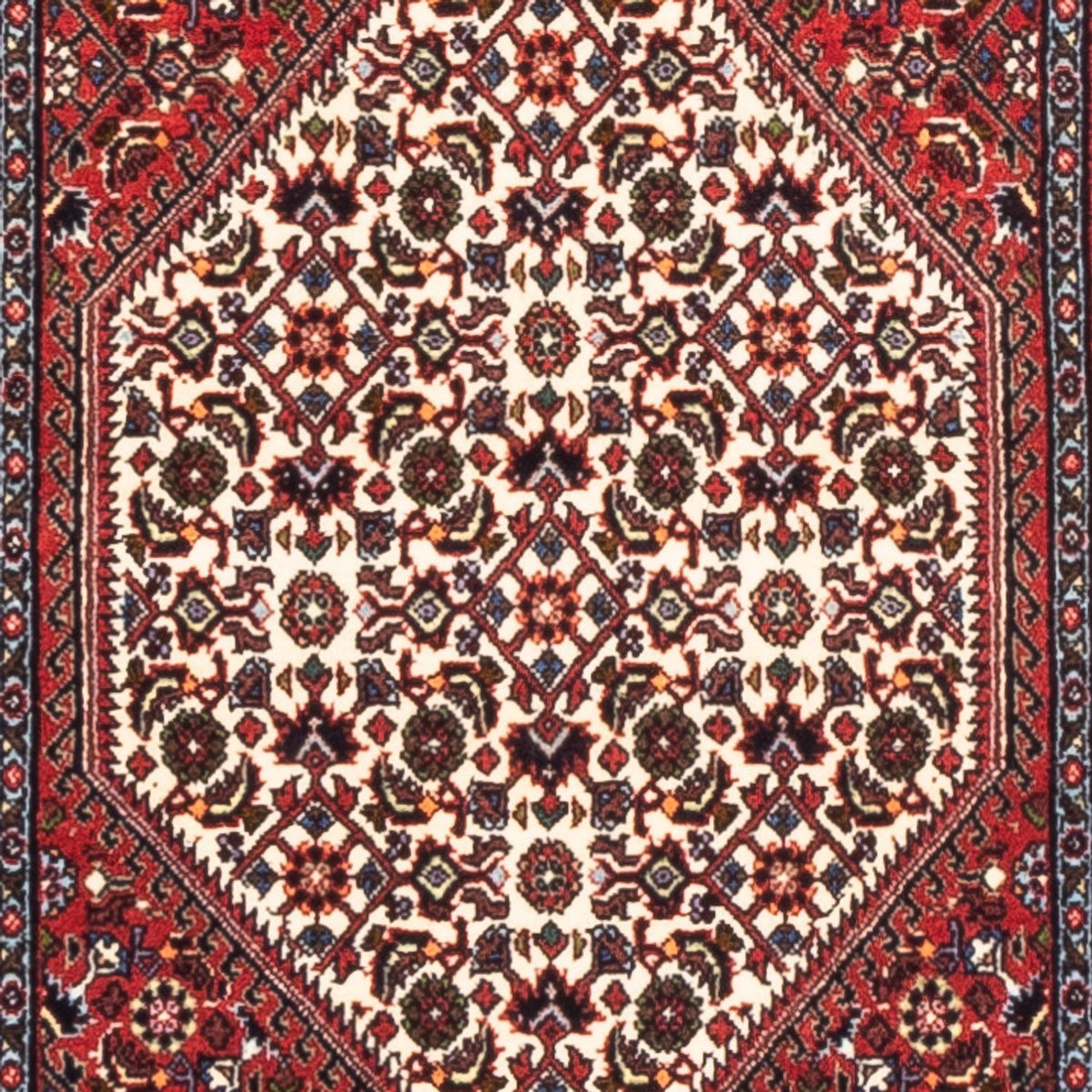 Tapis de couloir Tapis persan - Bidjar - 228 x 61 cm - rouge