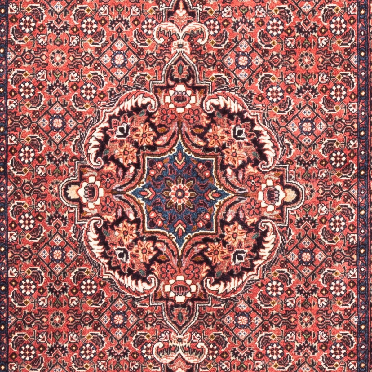 Tapis de couloir Tapis persan - Bidjar - 238 x 73 cm - rouge