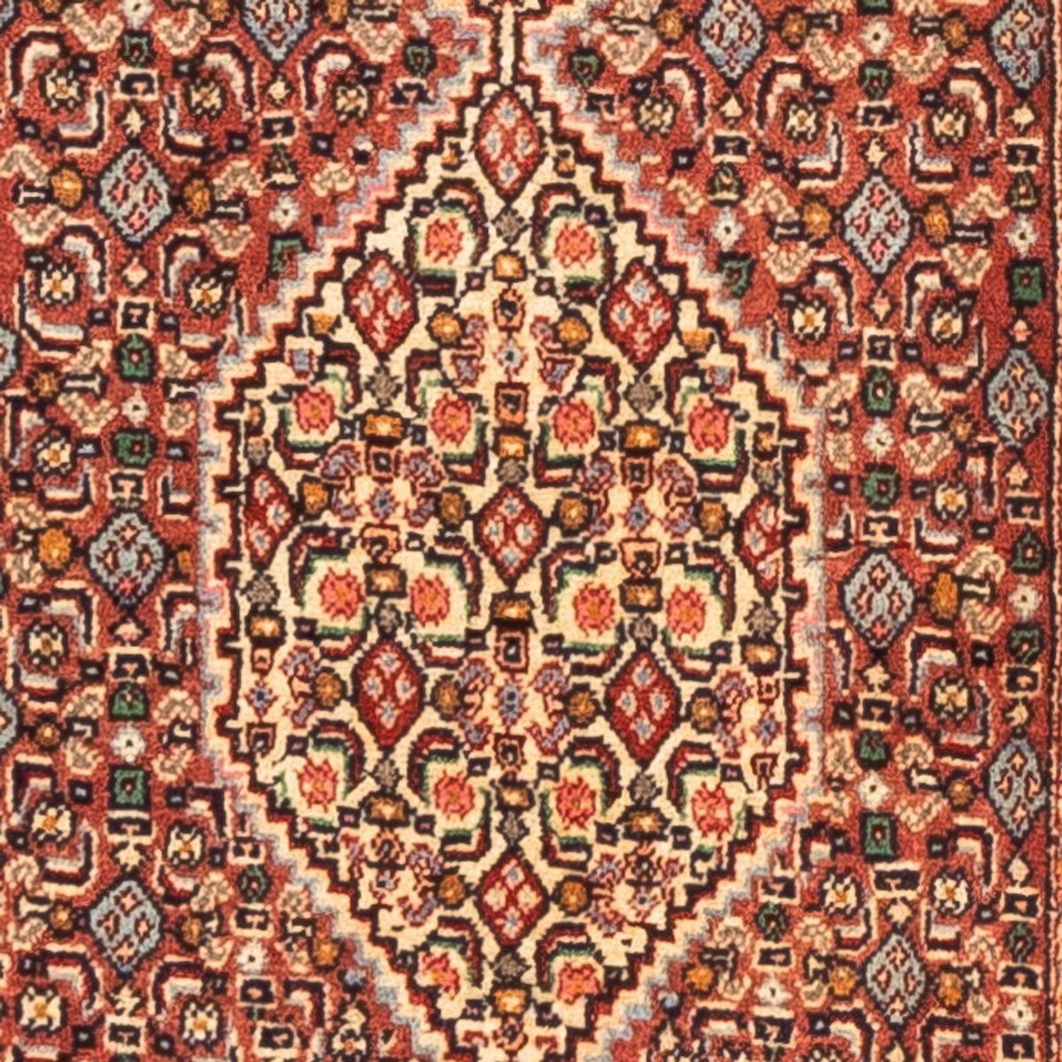 Tapis de couloir Tapis persan - Classique - 252 x 52 cm - rouge