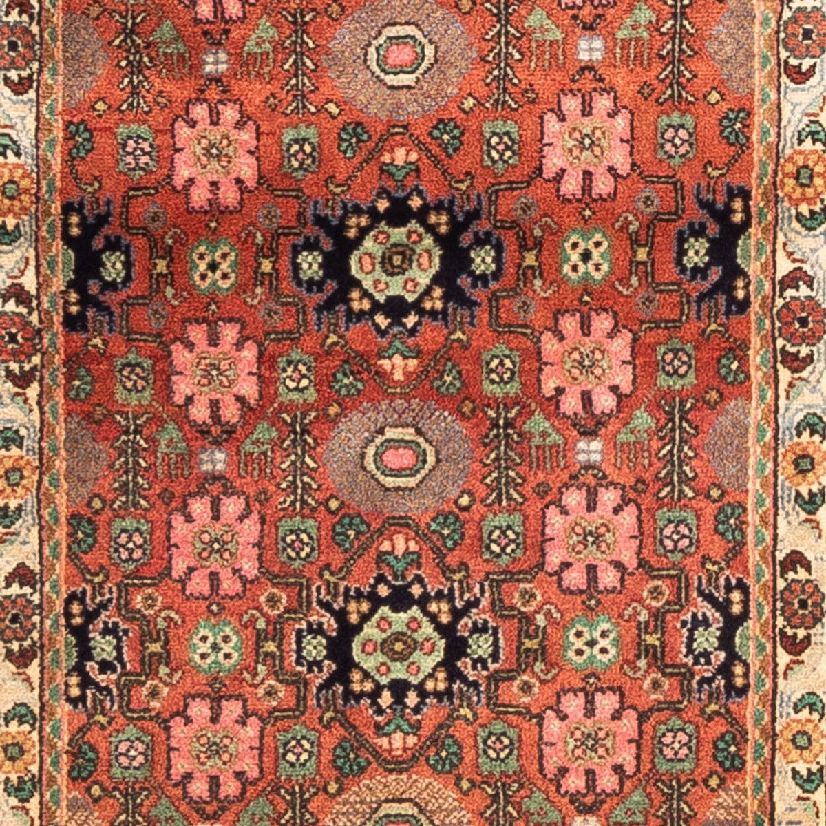 Tapis de couloir Tapis persan - Classique - 254 x 50 cm - rouge