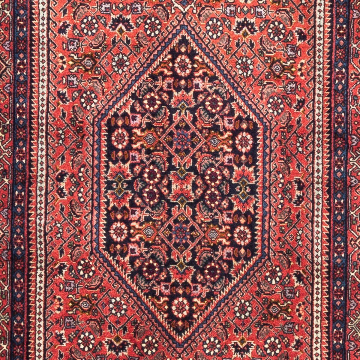 Tapis de couloir Tapis persan - Bidjar - 226 x 77 cm - rouge