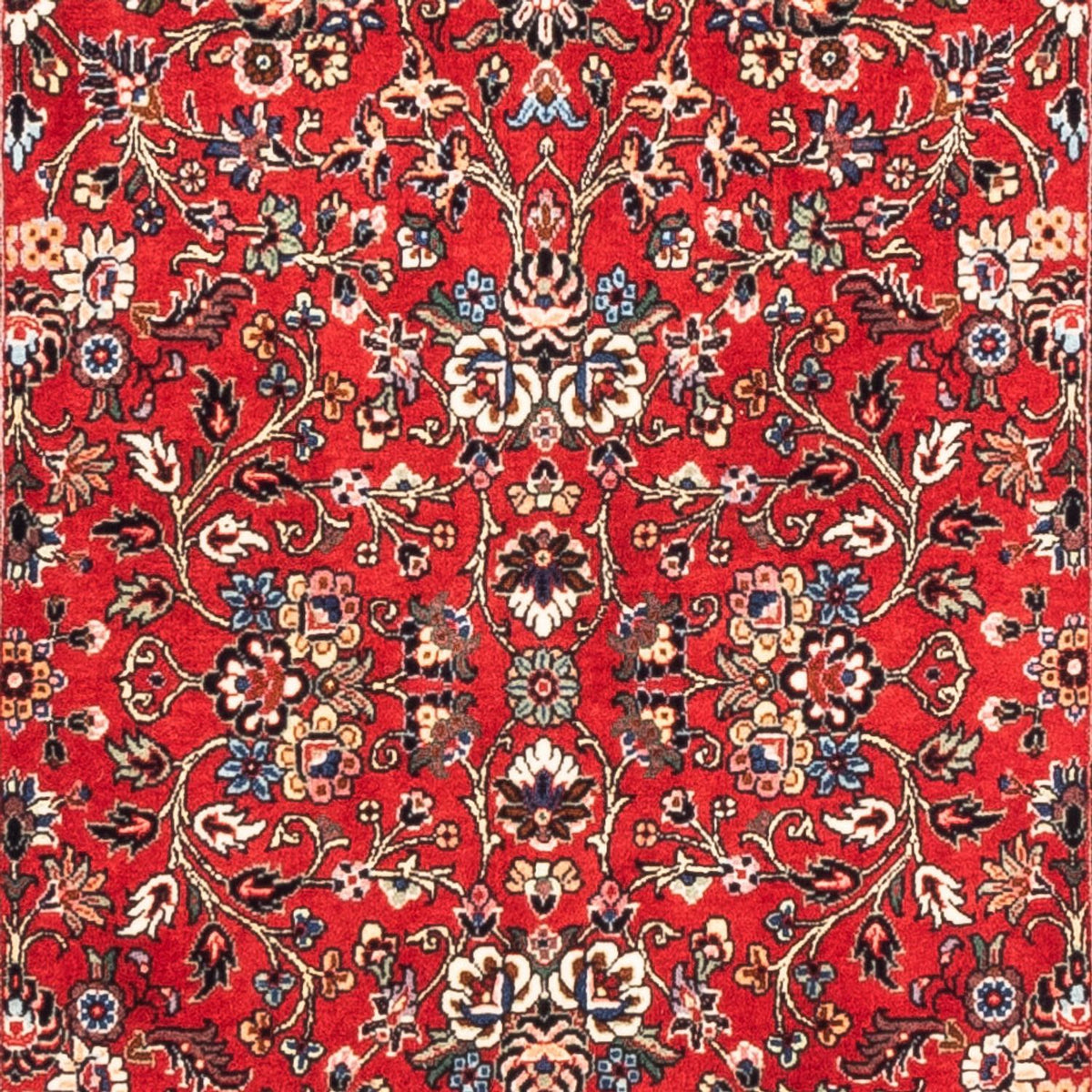 Tapis de couloir Tapis persan - Bidjar - 204 x 84 cm - rouge