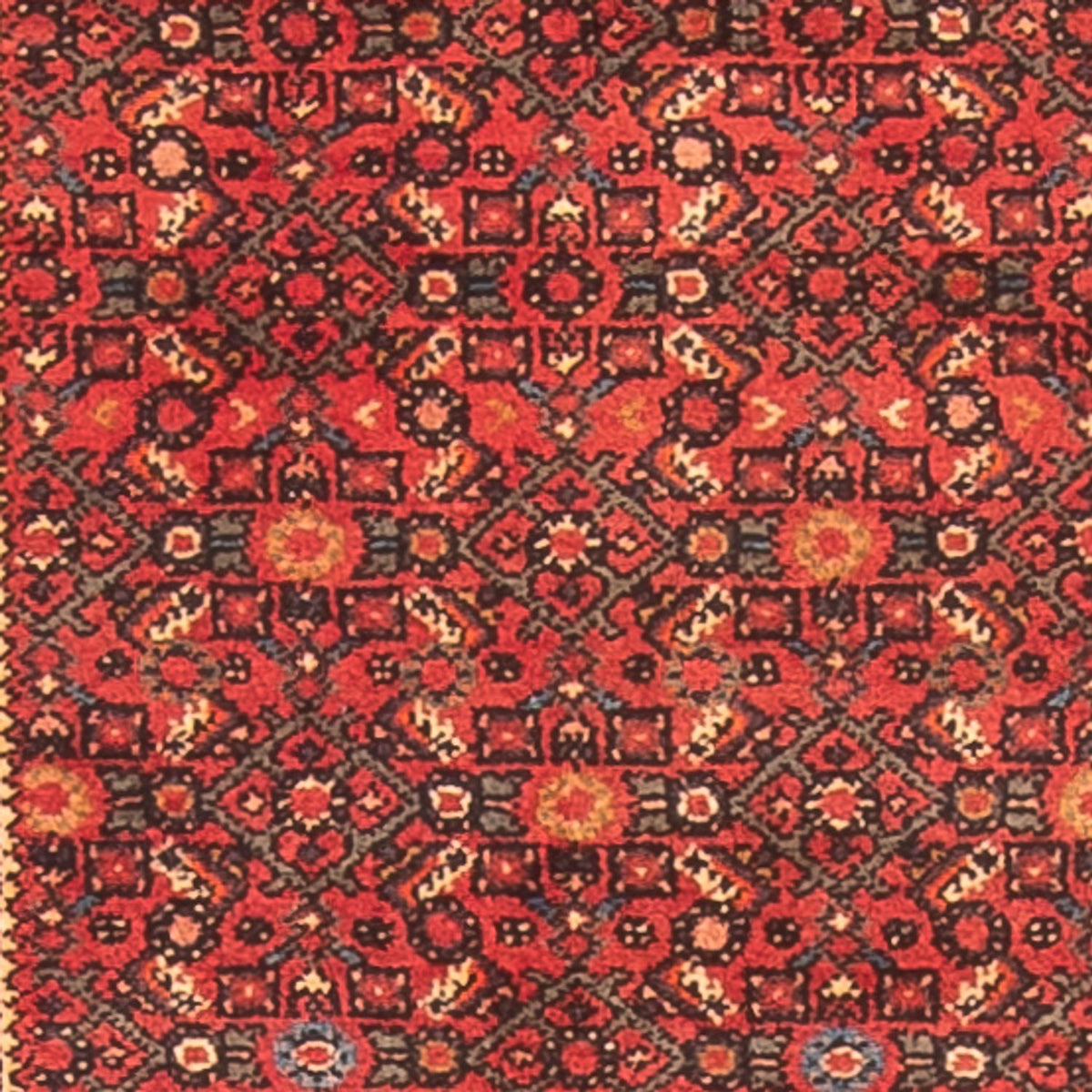Tapis de couloir Tapis persan - Nomadic - 995 x 83 cm - rouge