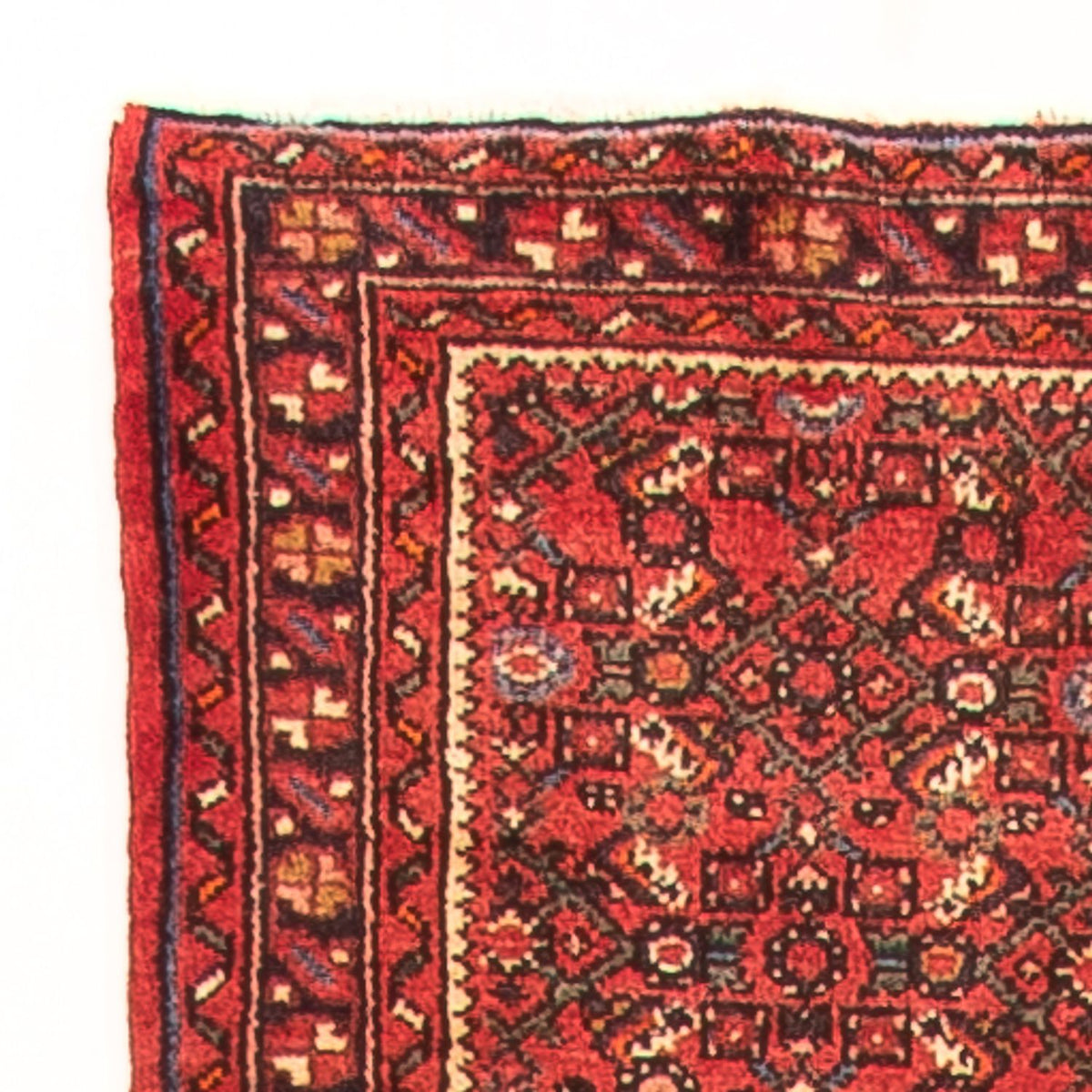 Tapis de couloir Tapis persan - Nomadic - 995 x 83 cm - rouge