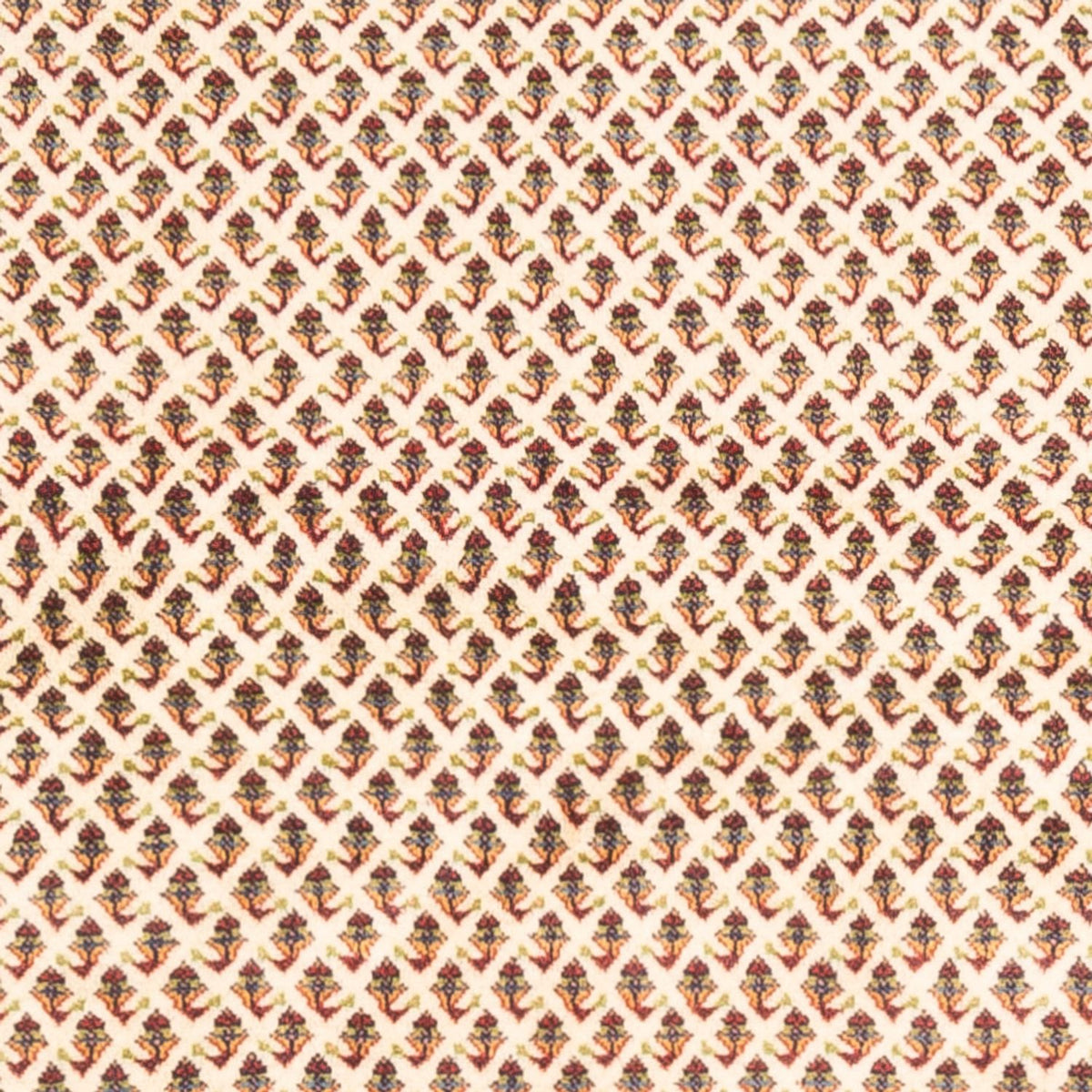 Tapis persan - Mir - 250 x 210 cm - beige clair
