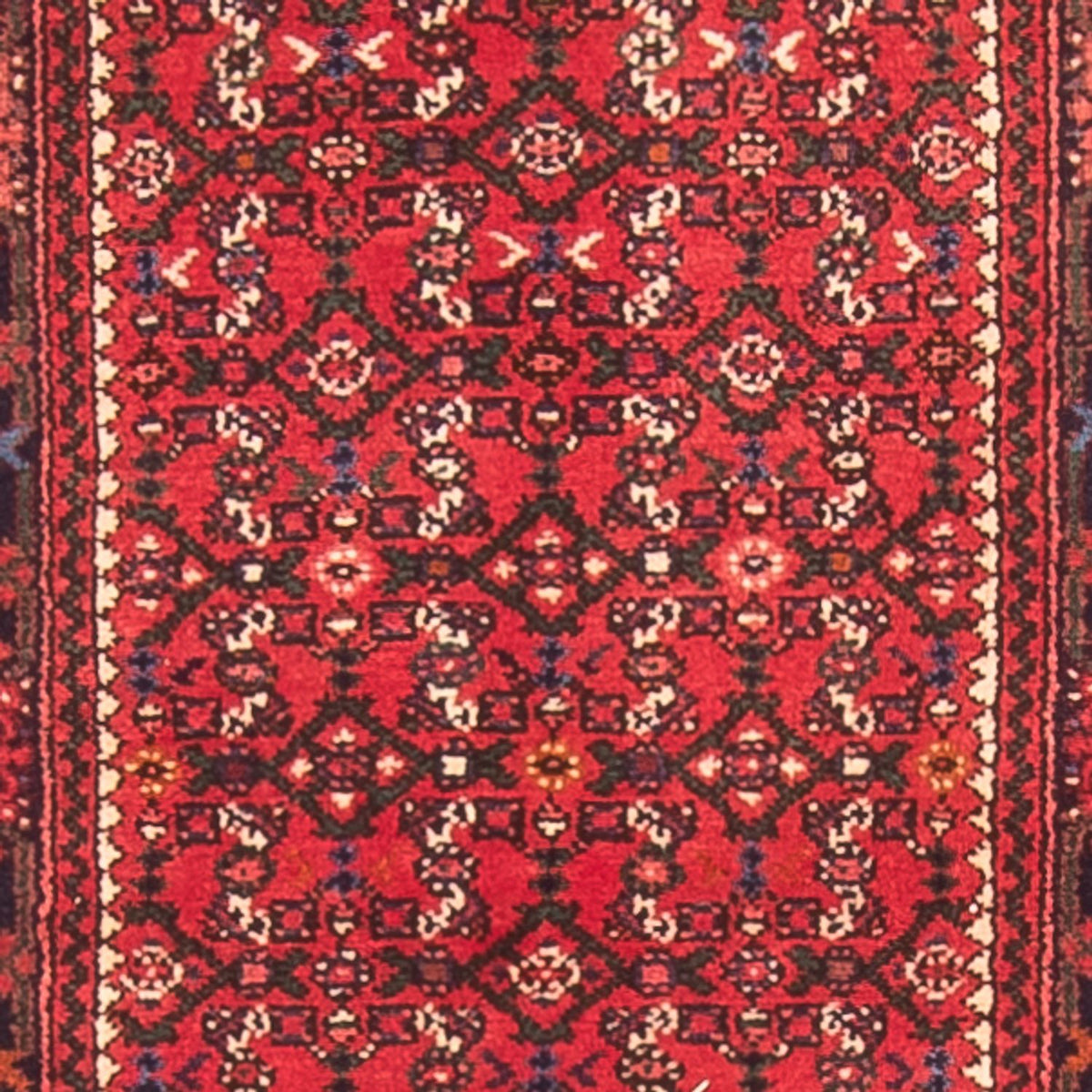 Tapis de couloir Tapis persan - Nomadic - 600 x 80 cm - rouge