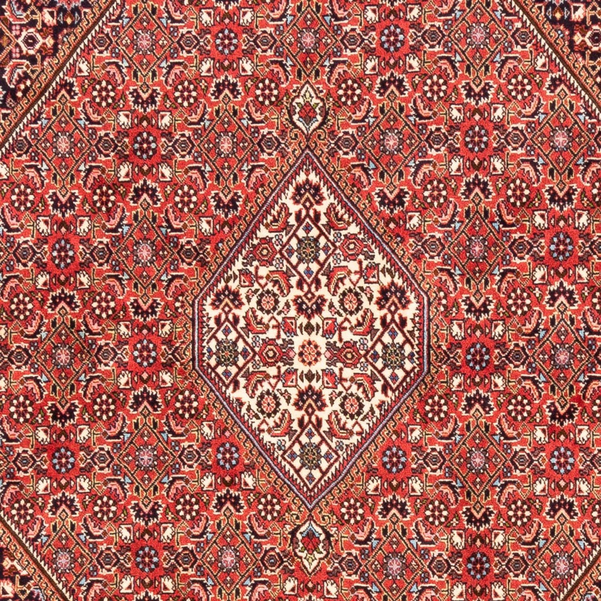 Tapis persan - Bidjar - 232 x 171 cm - rouge