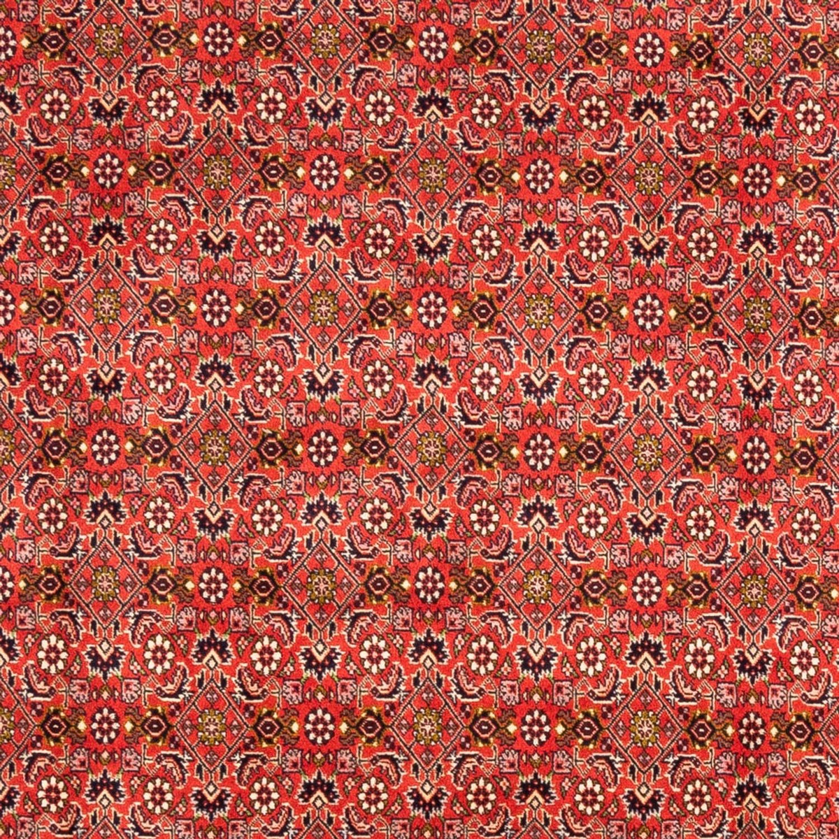 Tapis persan - Bidjar - 242 x 168 cm - rouge