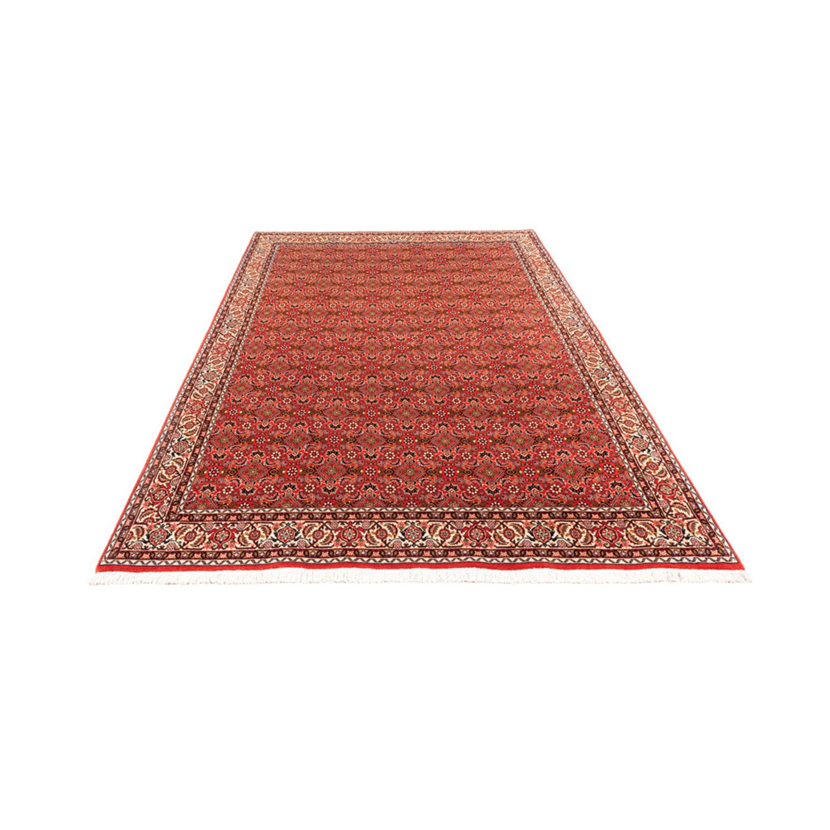 Tapis persan - Bidjar - 242 x 168 cm - rouge