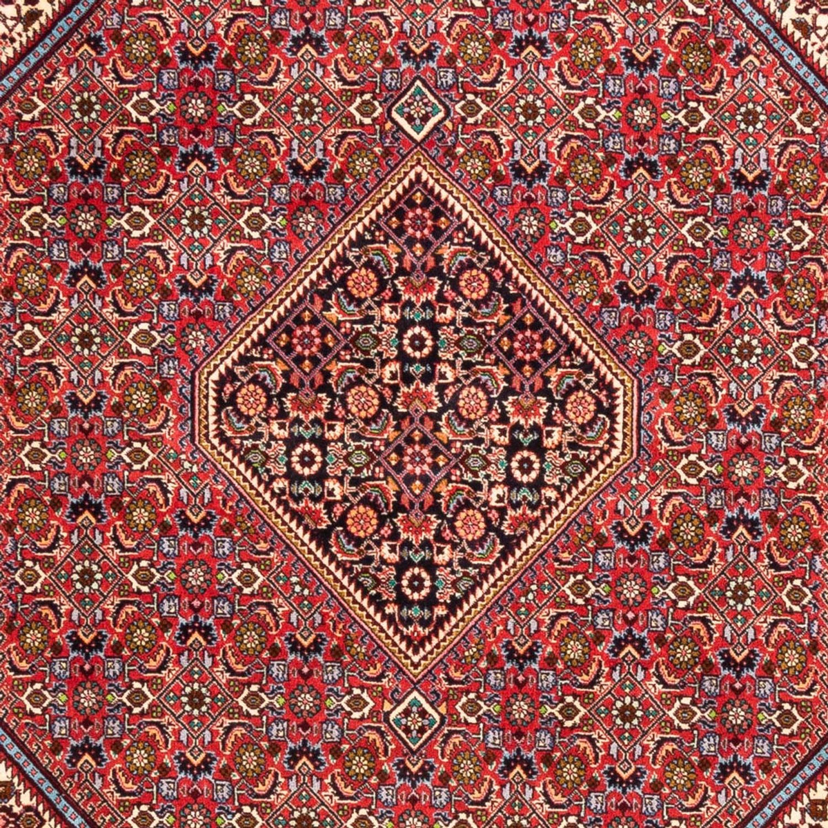 Tapis persan - Bidjar - 247 x 171 cm - rouge