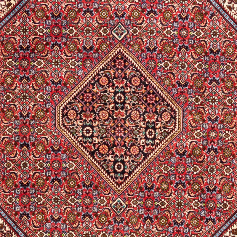 Tapis persan - Bidjar - 247 x 171 cm - rouge