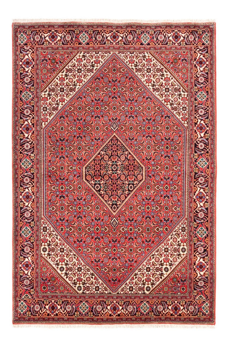 Tapis persan - Bidjar - 245 x 170 cm - rouge