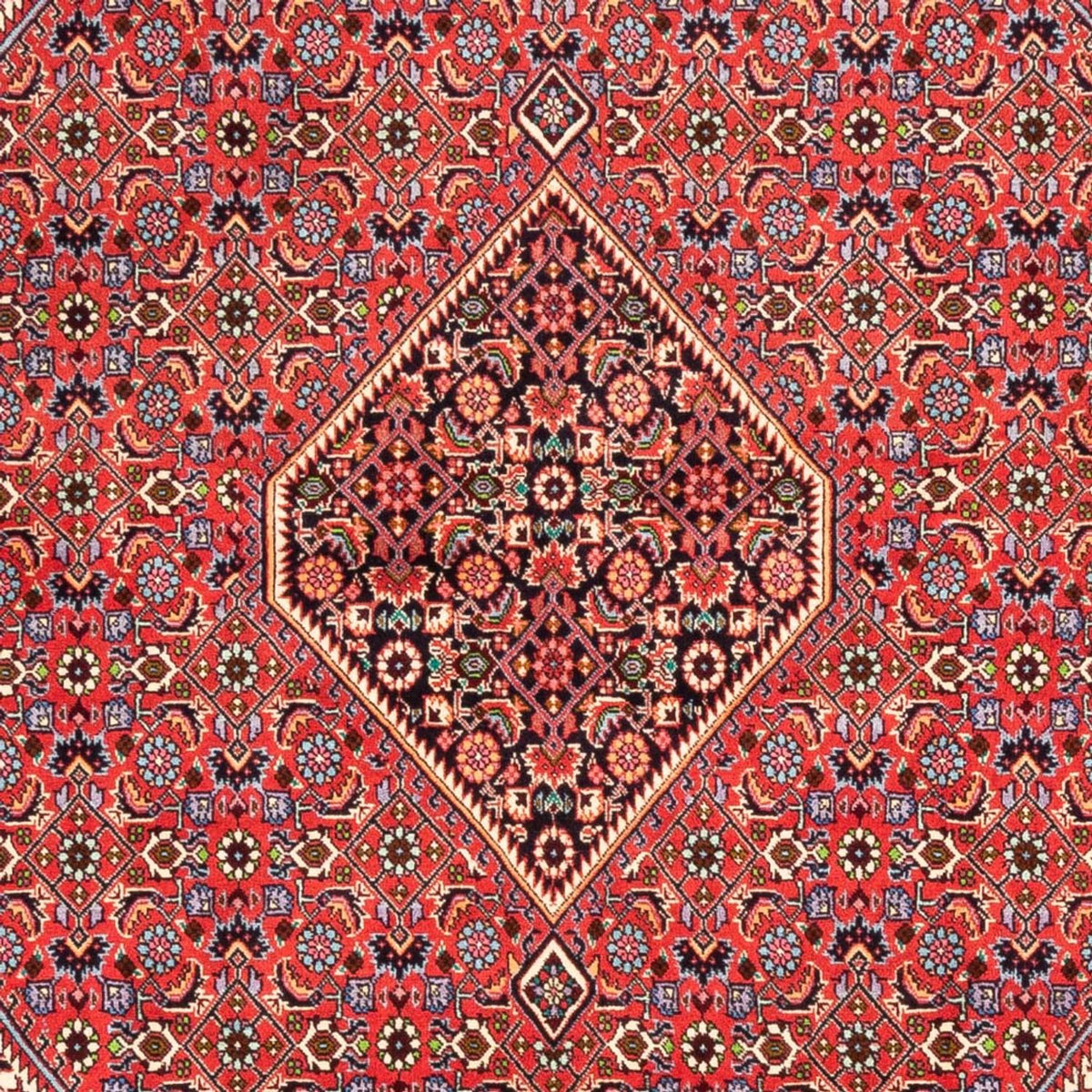 Tapis persan - Bidjar - 245 x 170 cm - rouge