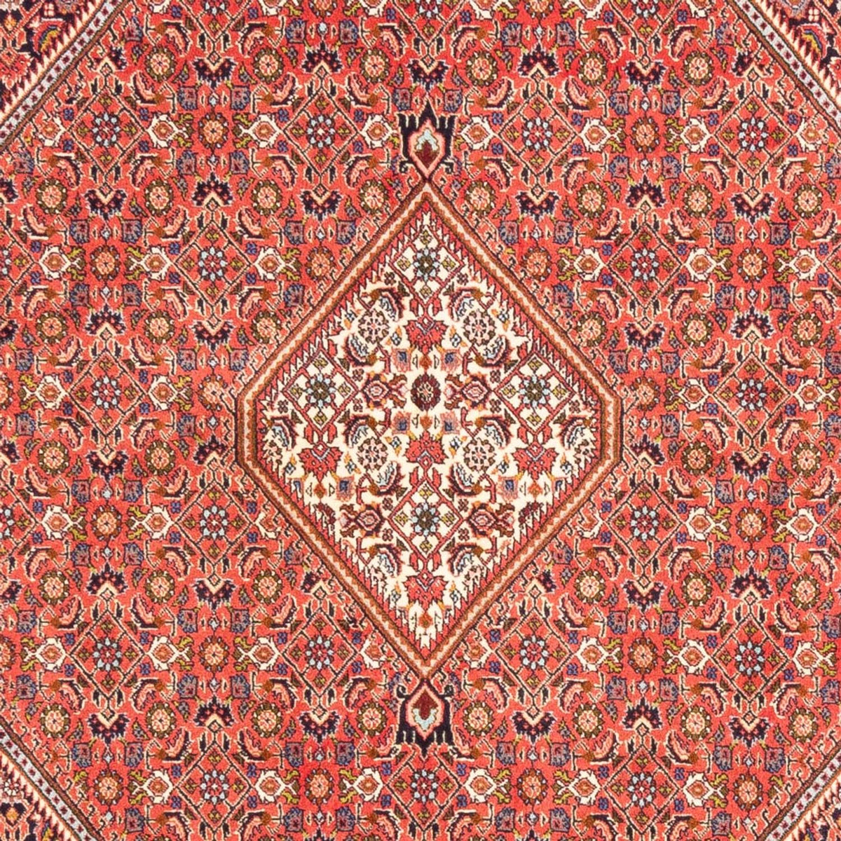 Tapis persan - Bidjar - 244 x 168 cm - rouge