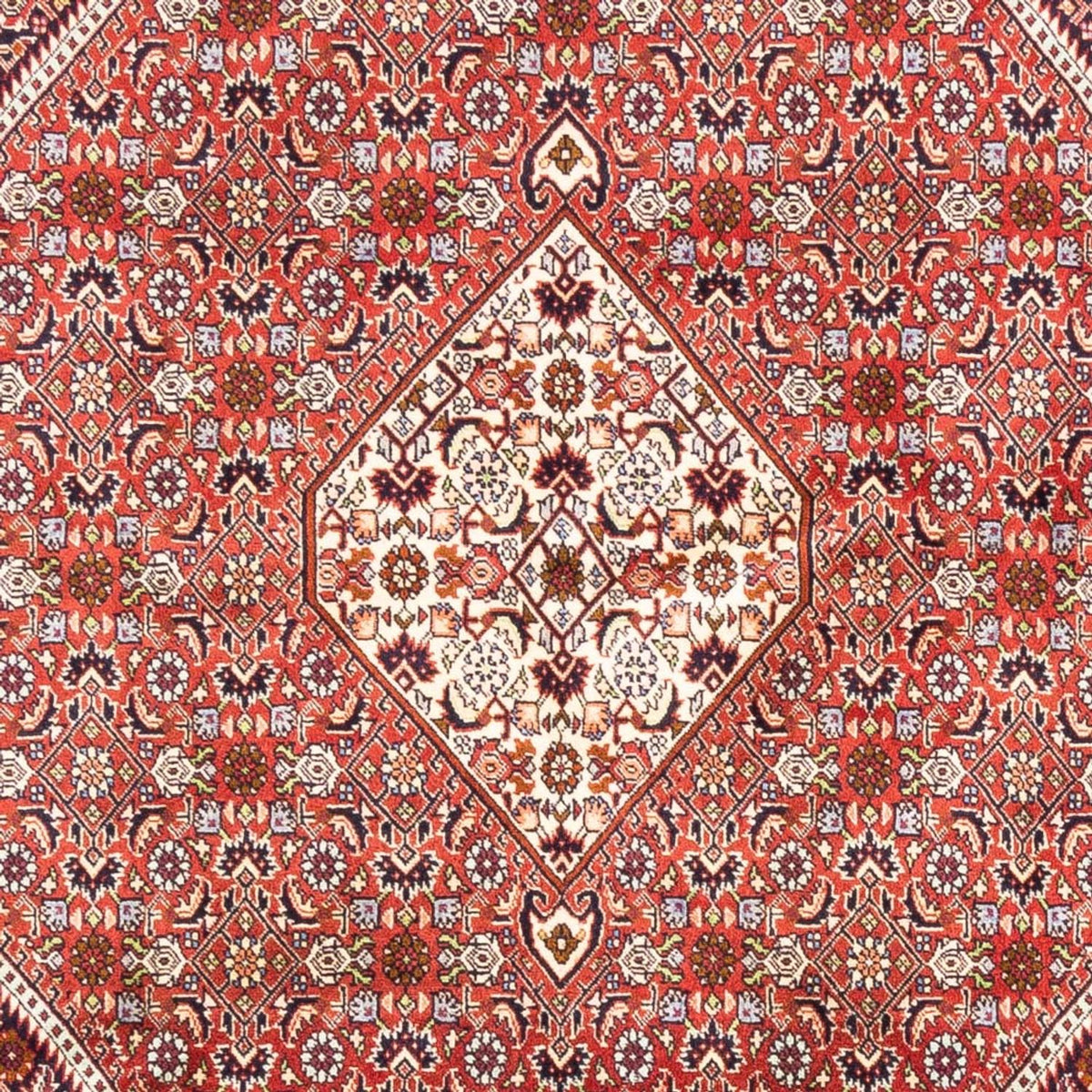 Tapis persan - Bidjar - 240 x 168 cm - rouge