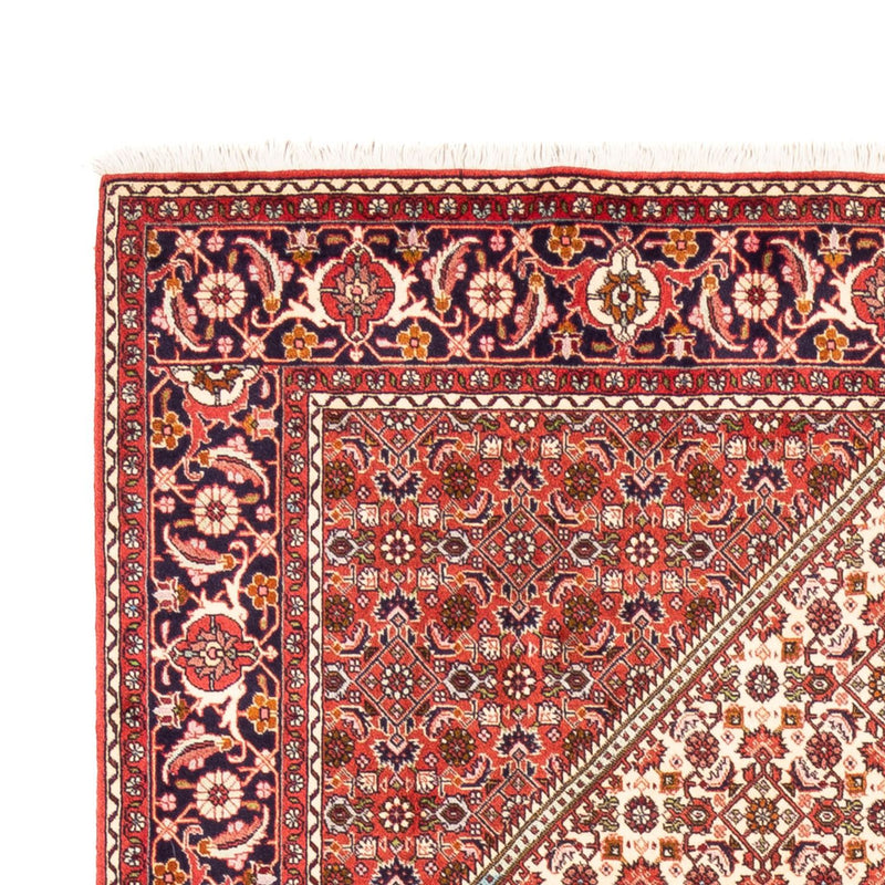 Tapis persan - Bidjar - 249 x 170 cm - beige