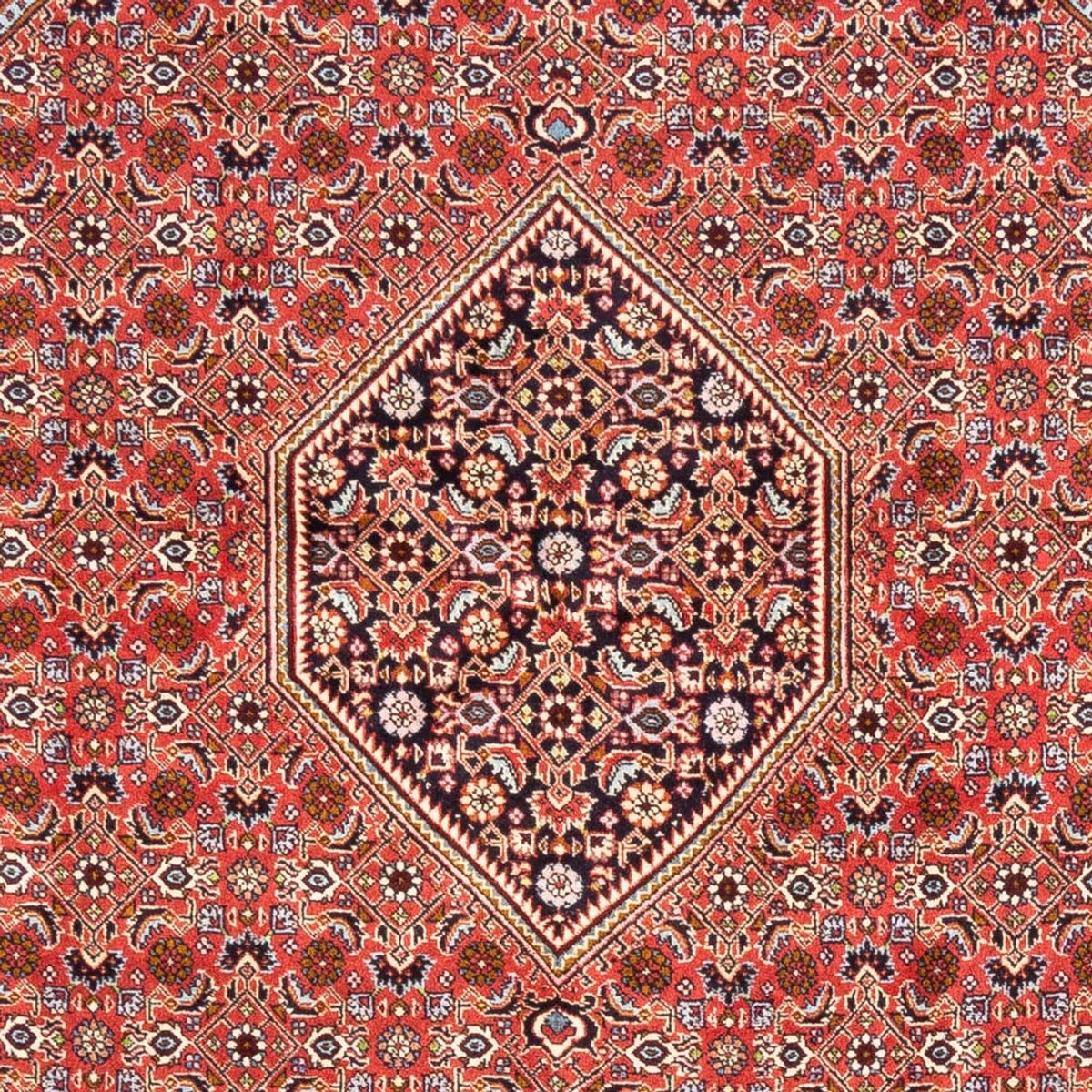 Tapis persan - Bidjar - 248 x 171 cm - rouge