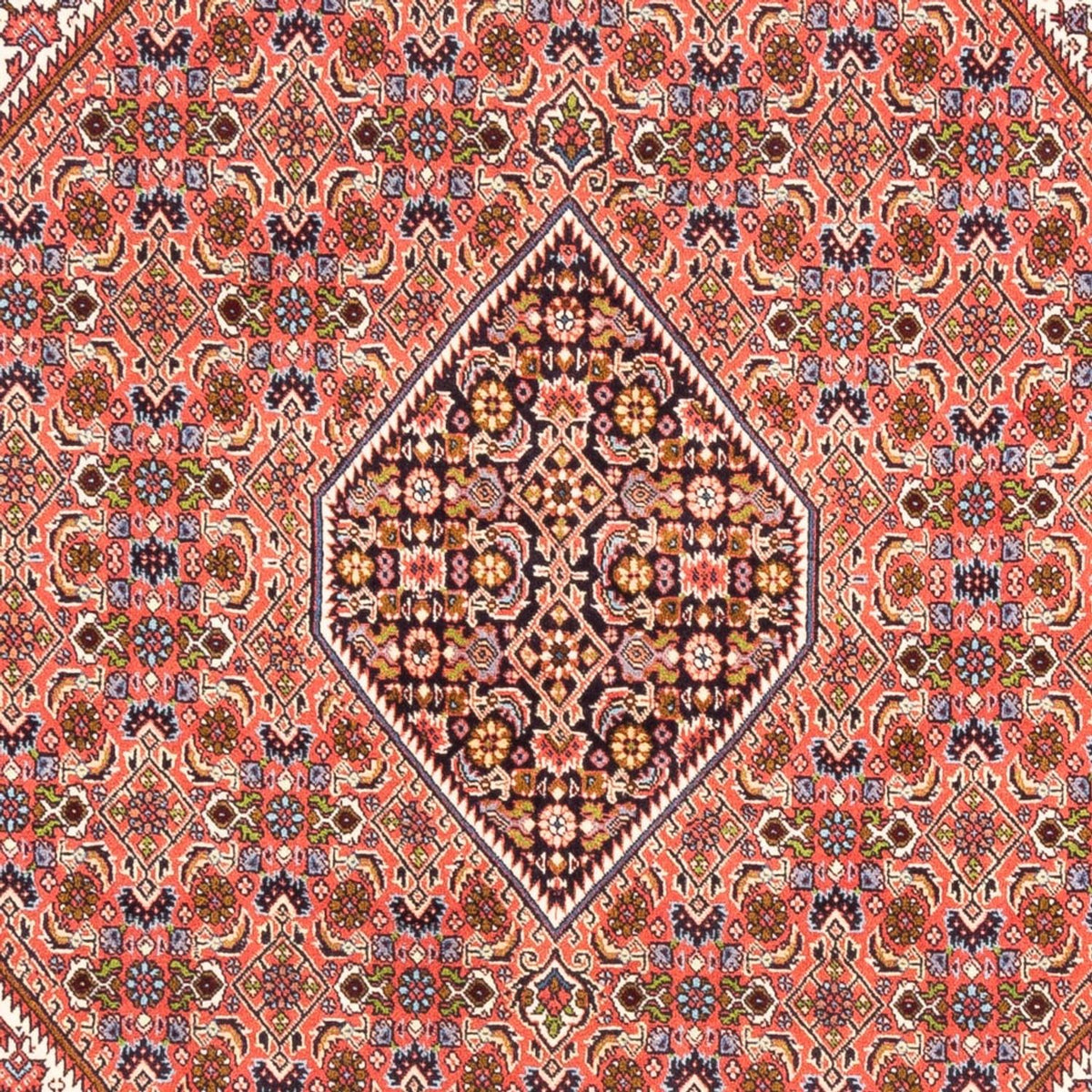 Tapis persan - Bidjar - 247 x 172 cm - rouge