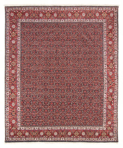 Bidjar - Takab Tapis 196x247cm - Tapis persan