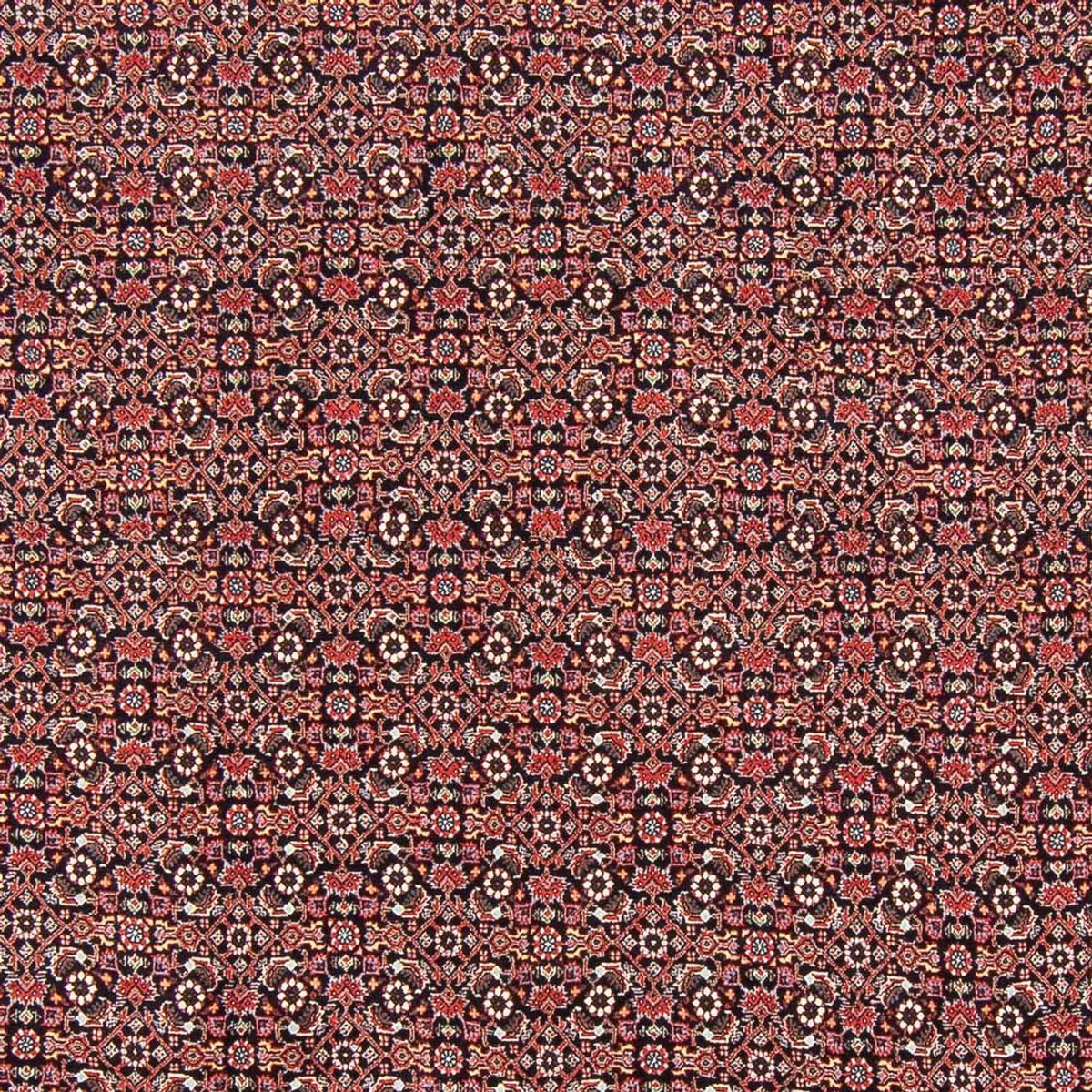 Tapis persan - Bidjar - 247 x 196 cm - bleu foncé
