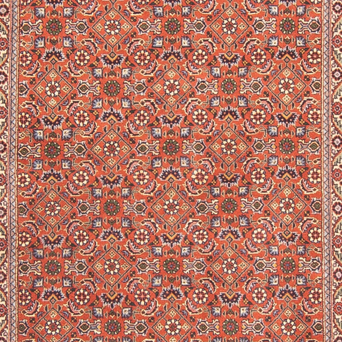 Tapis de couloir Tapis persan - Bidjar - 300 x 100 cm - rouge