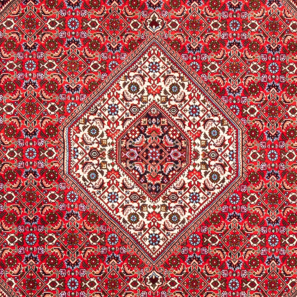 Tapis persan - Bidjar - 253 x 170 cm - rouge