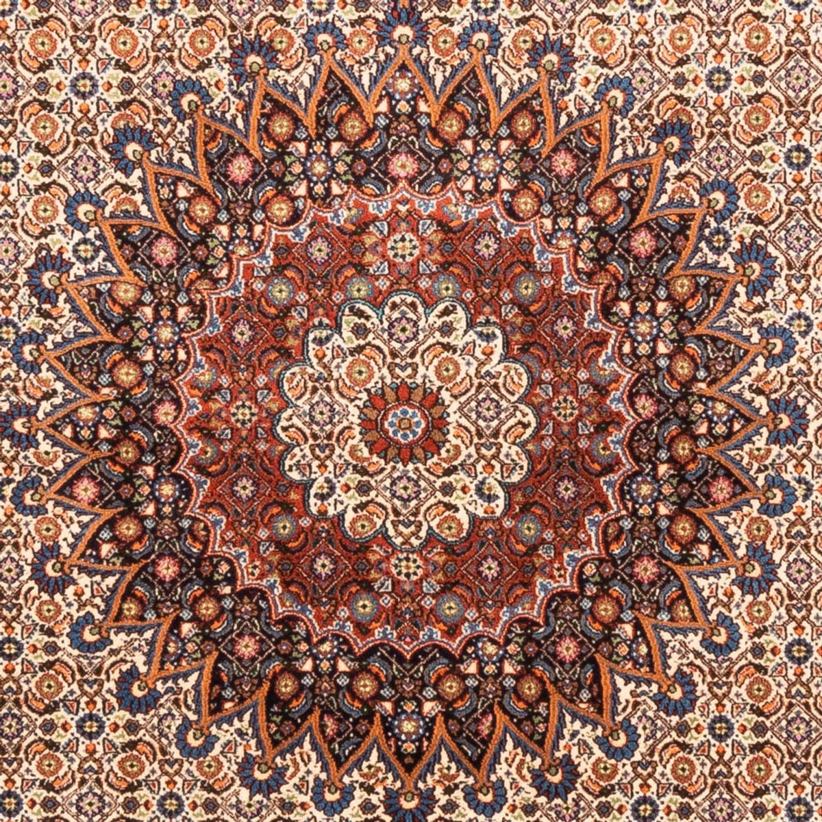 Tapis persan - Classique - 290 x 206 cm - beige