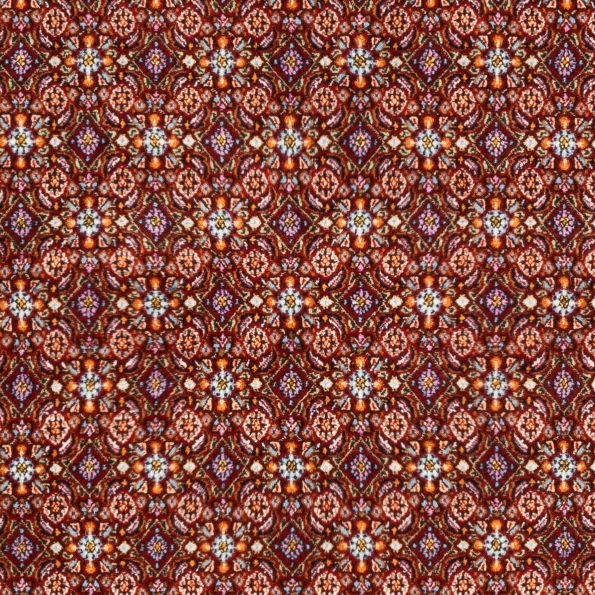 Tapis persan - Classique - 245 x 165 cm - rouge