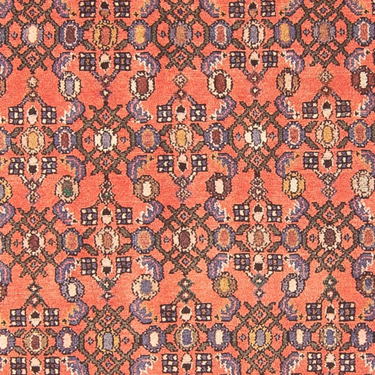 Tapis de couloir Tapis persan - Nomadic - 270 x 125 cm - rouge