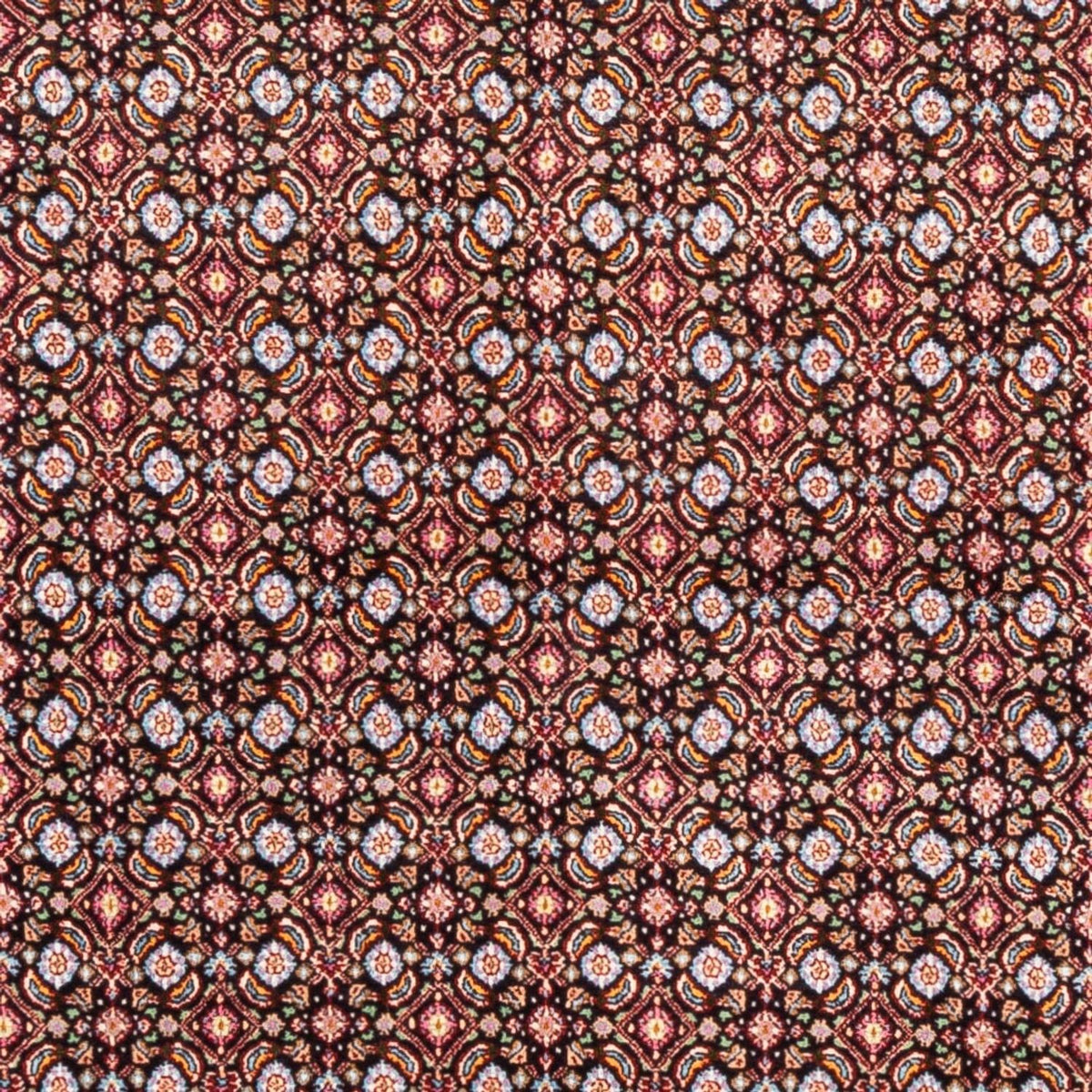 Tapis persan - Classique carré  - 195 x 193 cm - bleu foncé