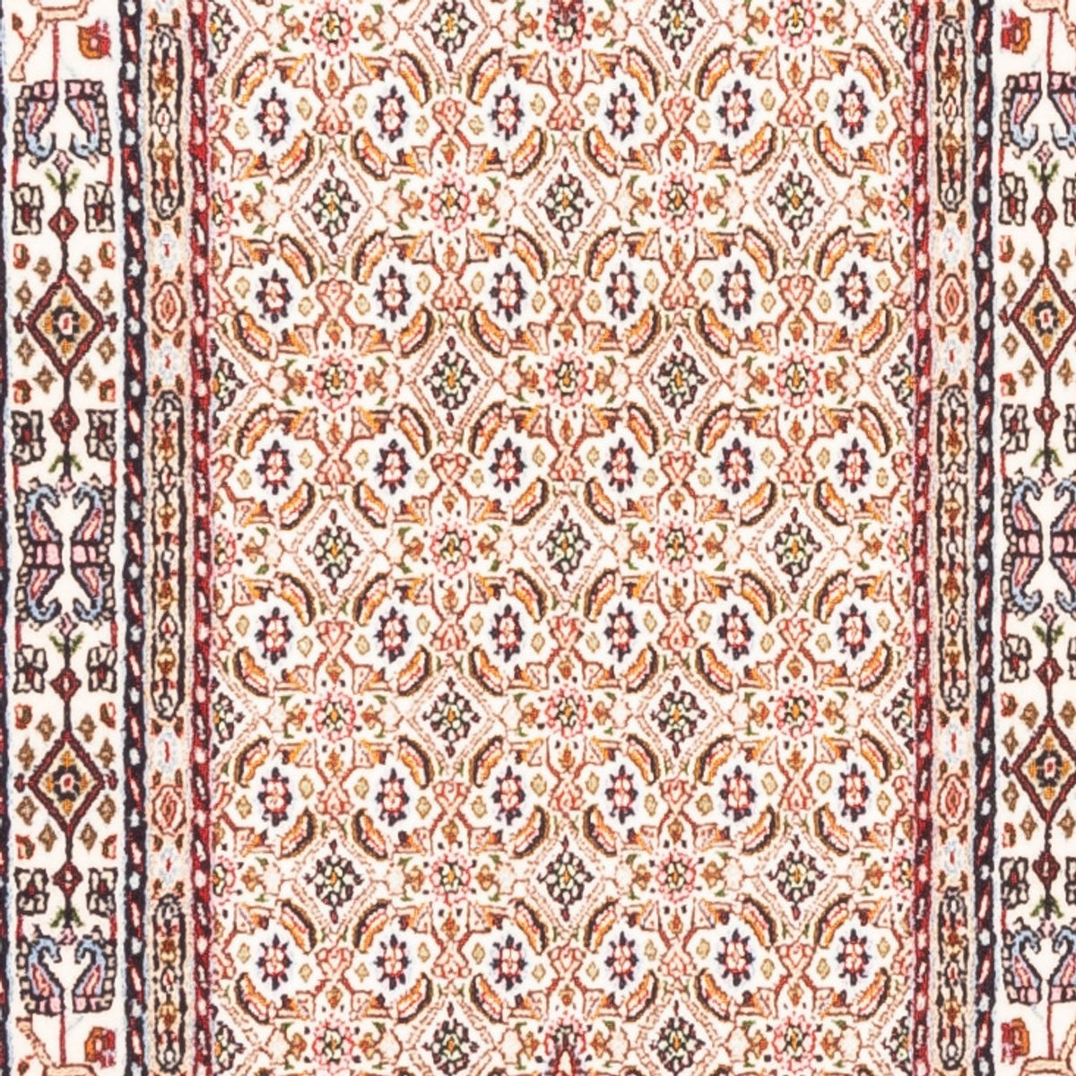 Tapis de couloir Tapis persan - Classique - 240 x 77 cm - crème
