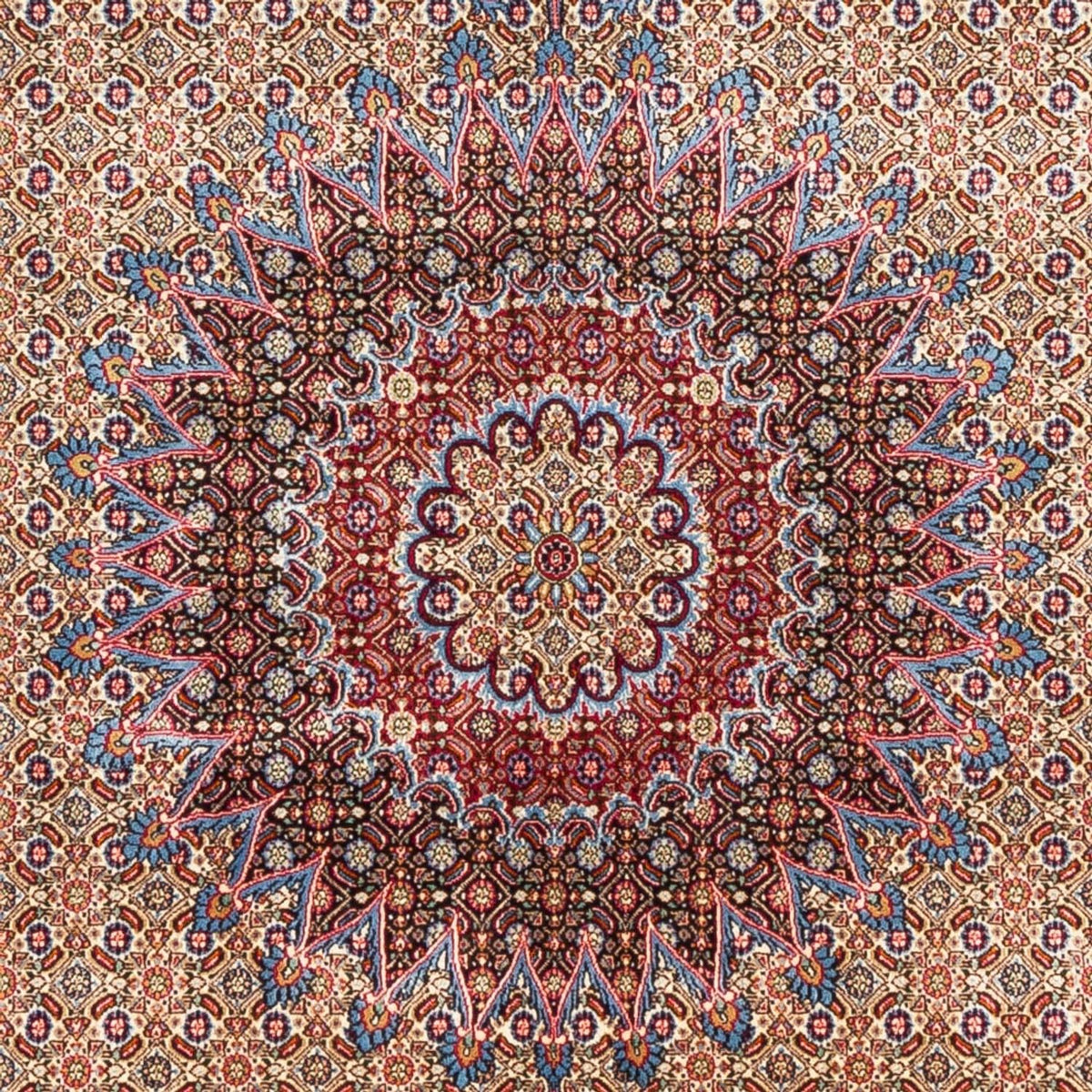 Tapis persan - Classique - 290 x 200 cm - beige