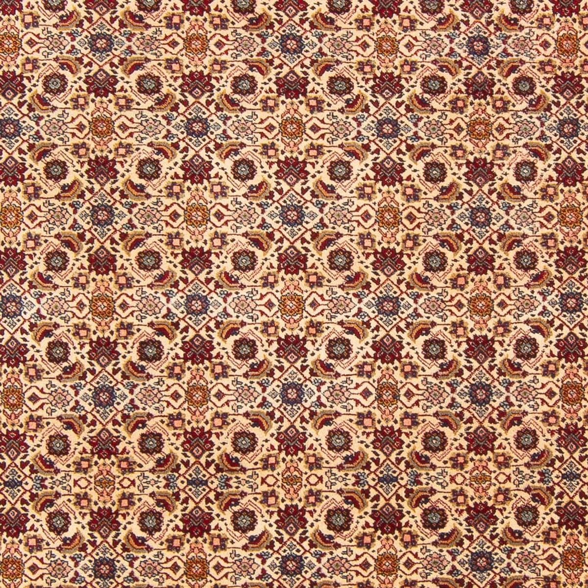 Tapis persan - Classique - 302 x 200 cm - crème