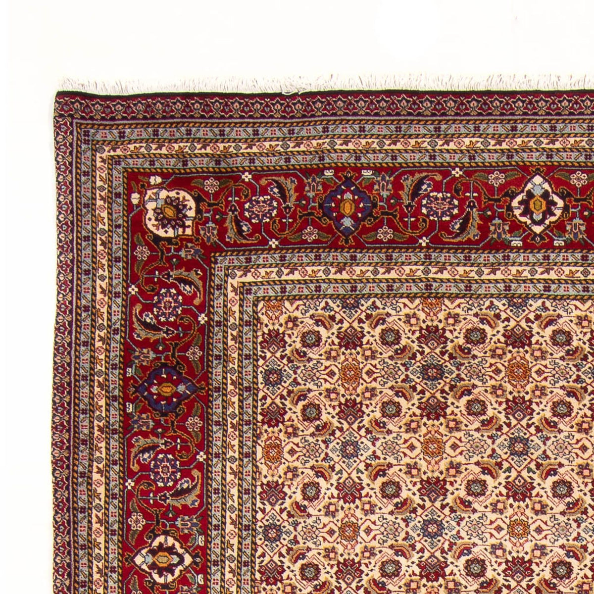 Tapis persan - Classique - 302 x 200 cm - crème