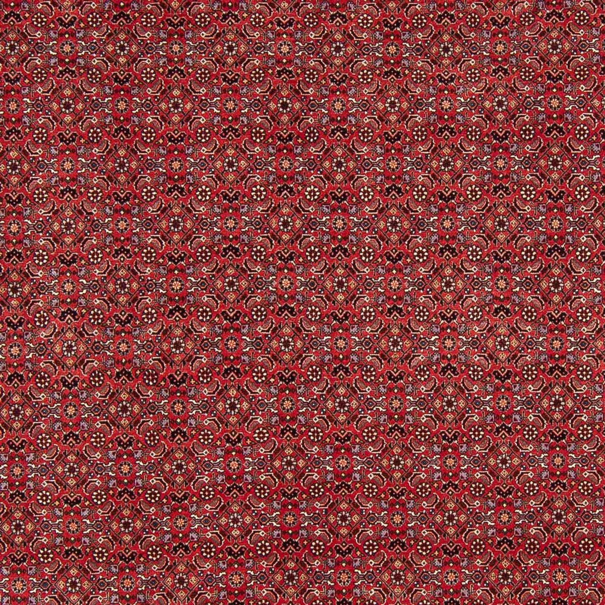 Tapis persan - Bidjar - Royal - 272 x 217 cm - rouge foncé