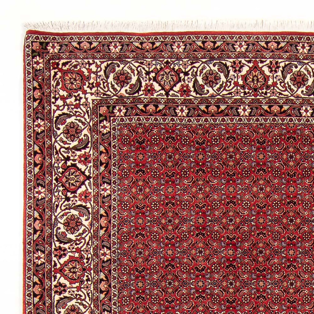 Tapis persan - Bidjar - Royal - 272 x 217 cm - rouge foncé