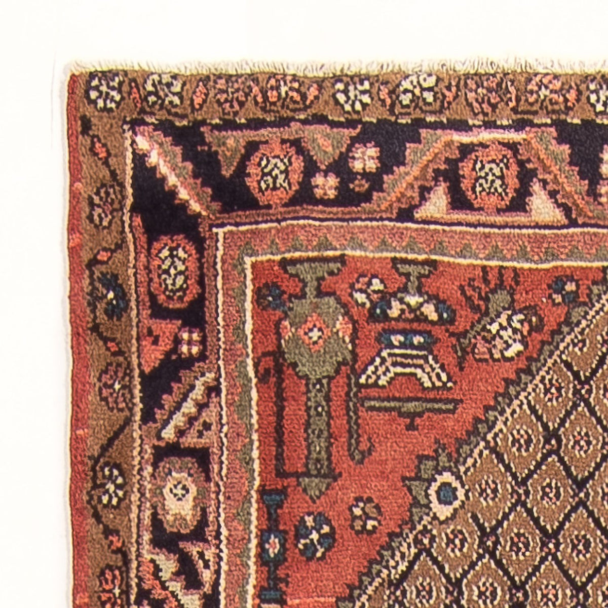 Tapis de couloir Tapis persan - Nomadic - 254 x 99 cm - beige