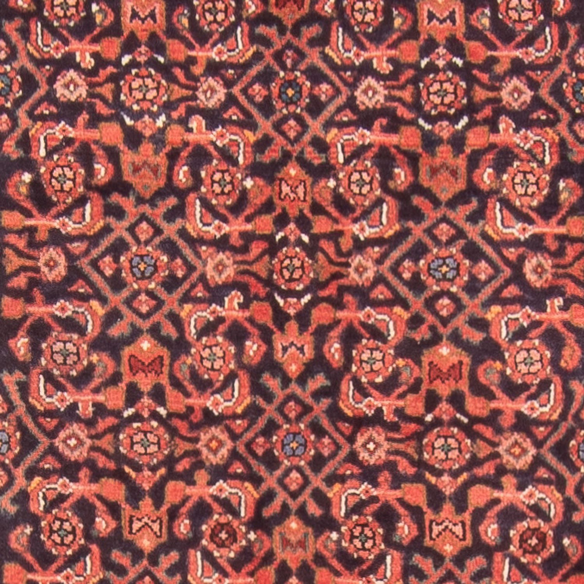 Tapis de couloir Tapis persan - Nomadic - 434 x 102 cm - bleu foncé