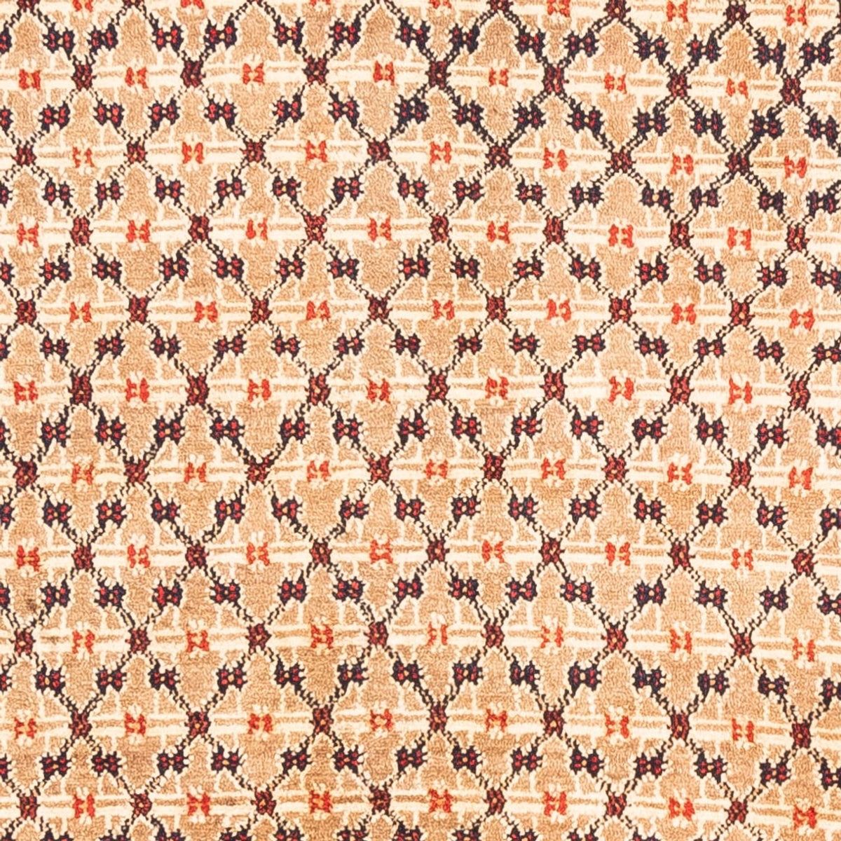 Tapis persan - Nomadic - 273 x 153 cm - crème