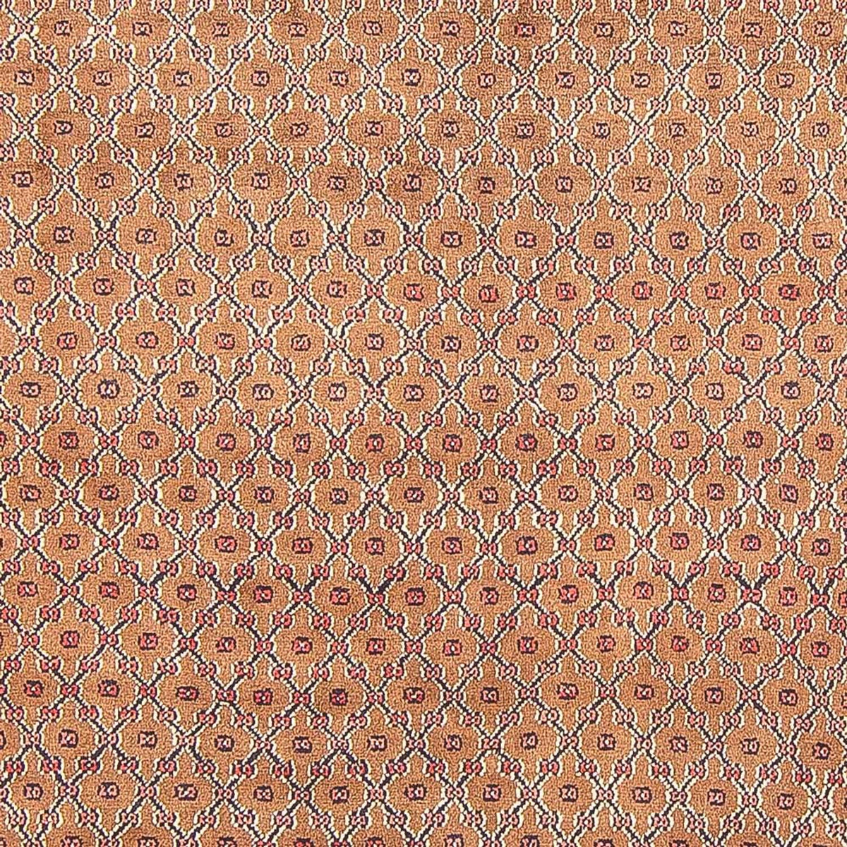 Tapis persan - Nomadic - 290 x 150 cm - multicolore