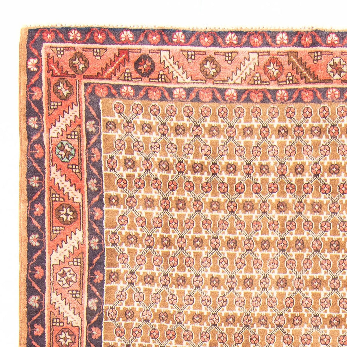 Tapis de couloir Tapis persan - Nomadic - 343 x 146 cm - multicolore