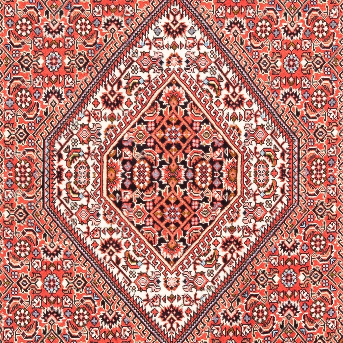 Tapis persan - Bidjar - 177 x 109 cm - rouge